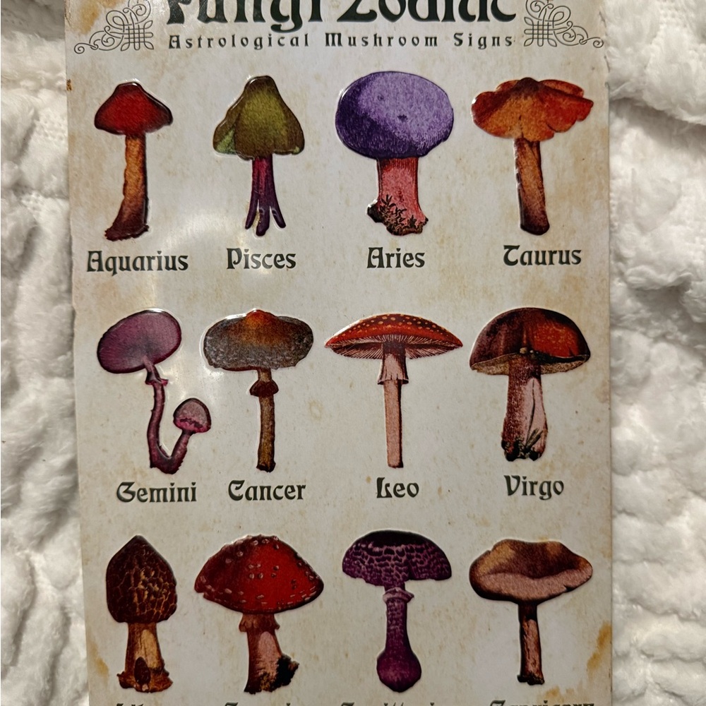 Astrological Mushroom Signs Wall Art - Multicolor